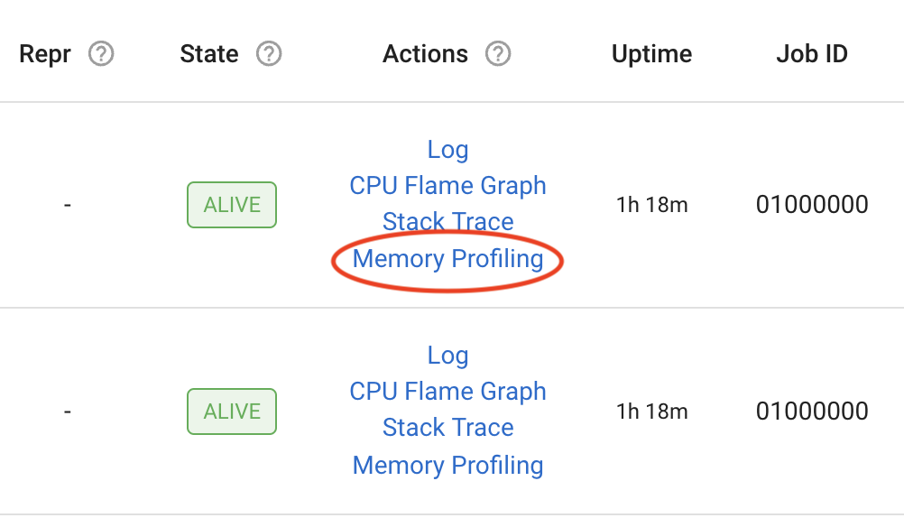 memory profiling action