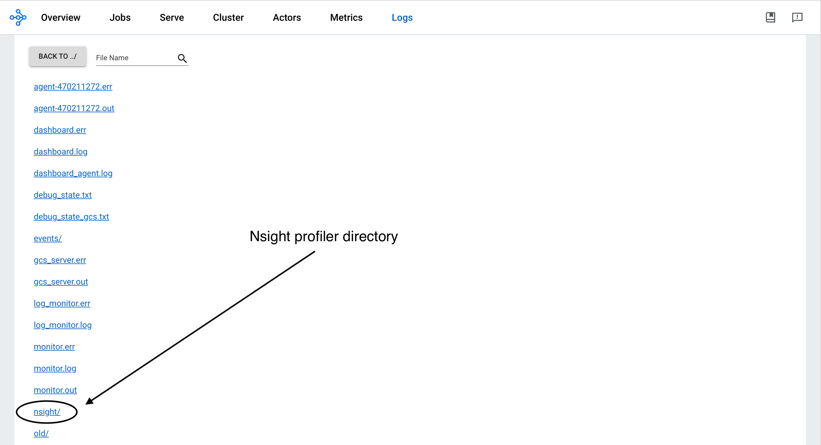 Nsight System Profiler folder